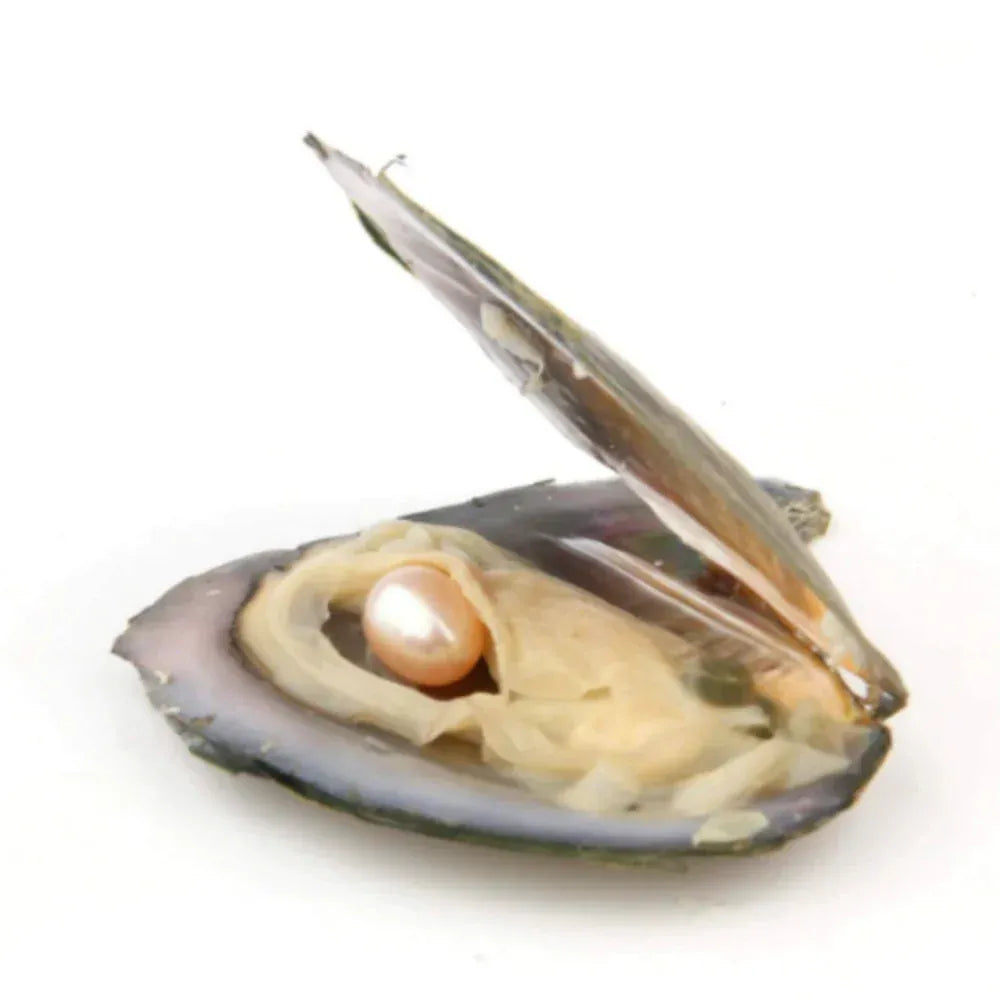 Colar Segredo do Mar - Ostra e Pérola Genuína
